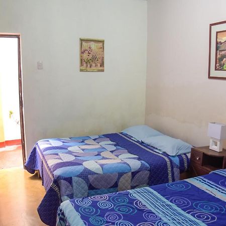 נאסקה Brabant Hostal מראה חיצוני תמונה